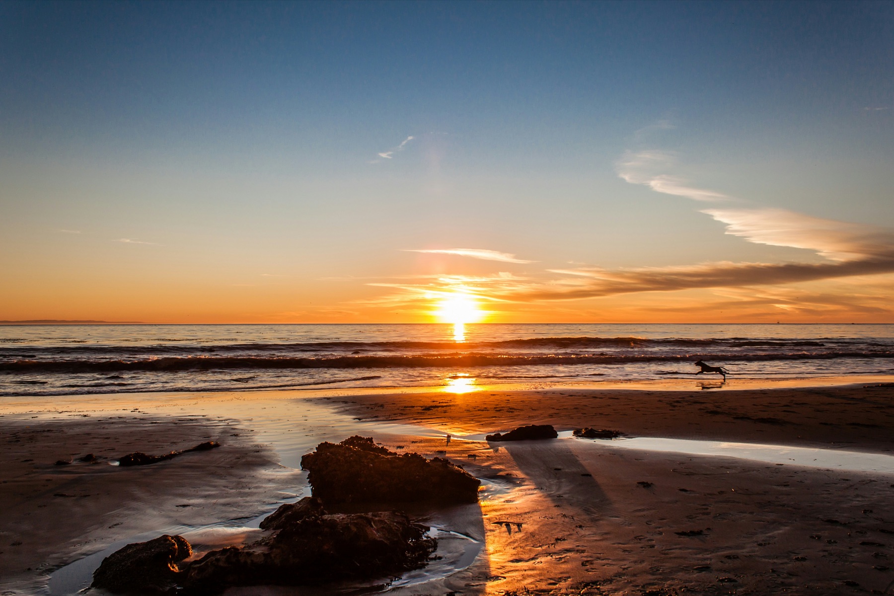A dog running along the beach at sunset on the Mesa