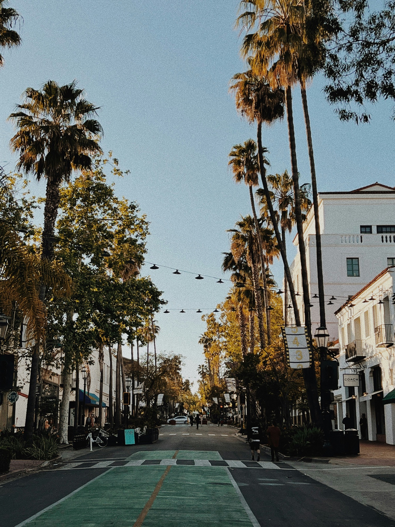 State Street's car-free promenade, lined with palms and string lights