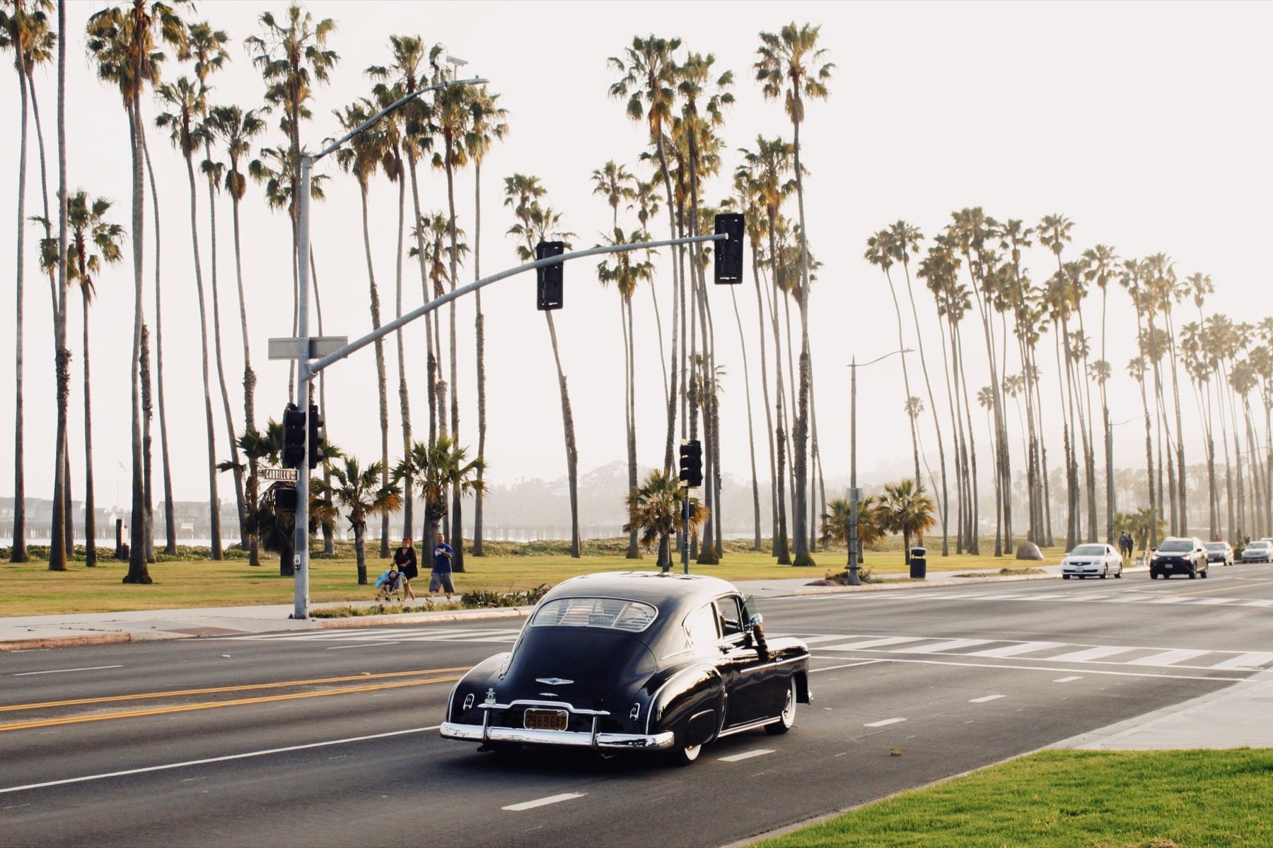 Palm-lined Cabrillo Boulevard along the Santa Barbara waterfront