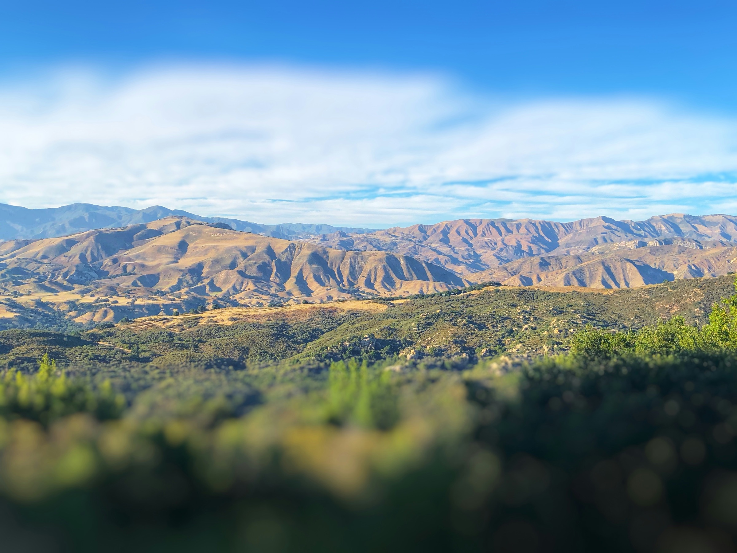 Santa Ynez, Santa Barbara