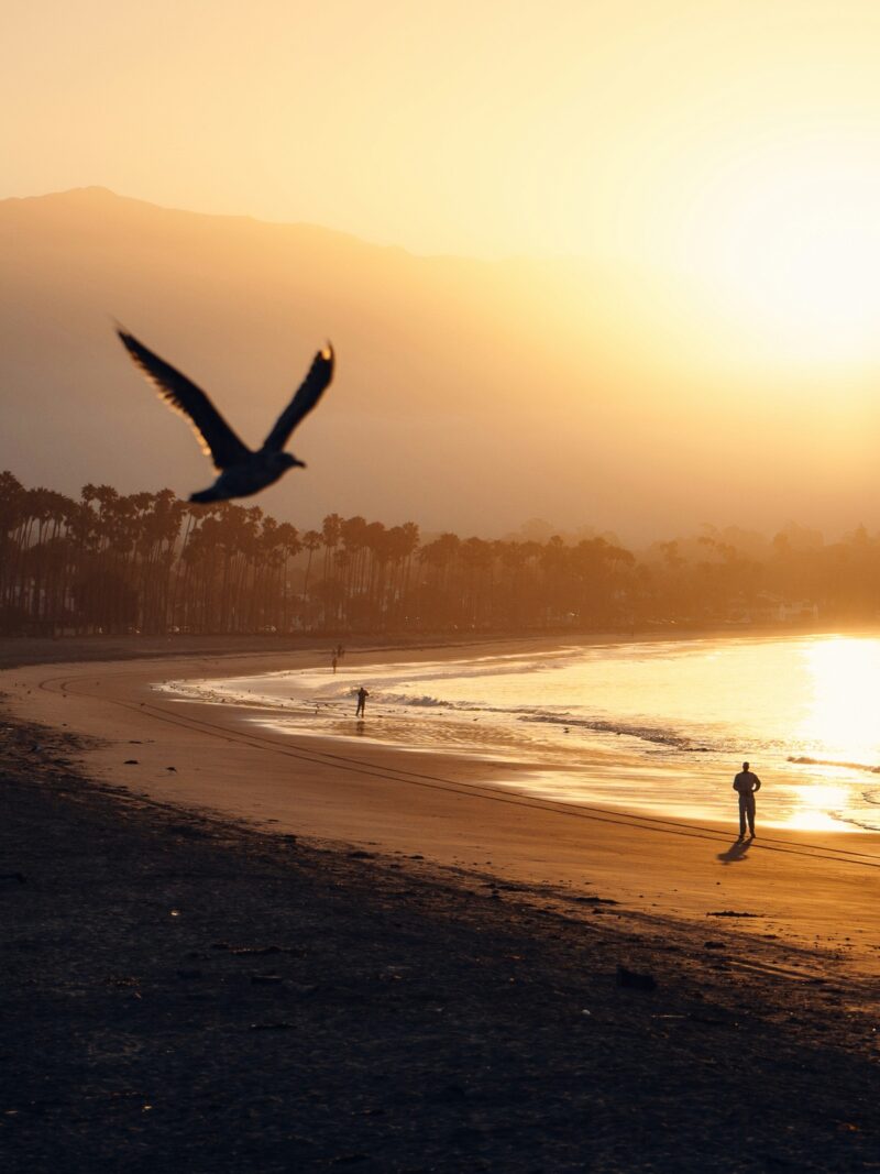 Montecito