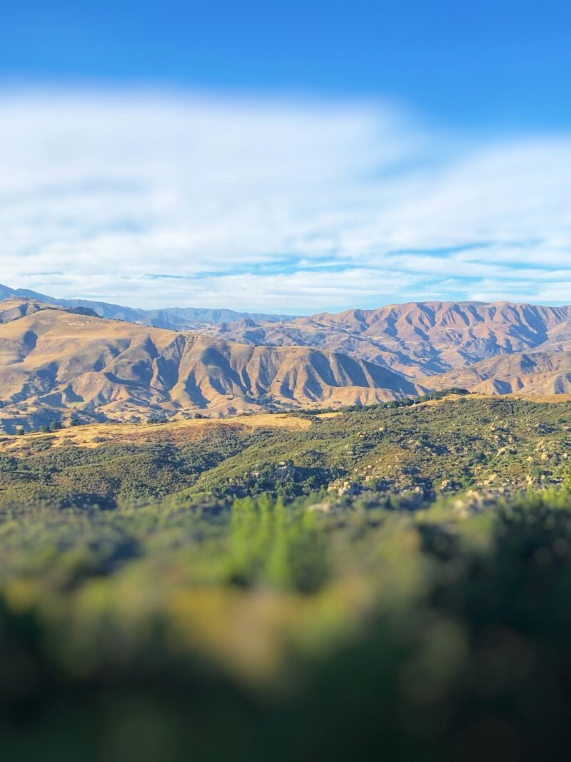 Santa Ynez